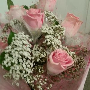 Meet your Posher, Nancy